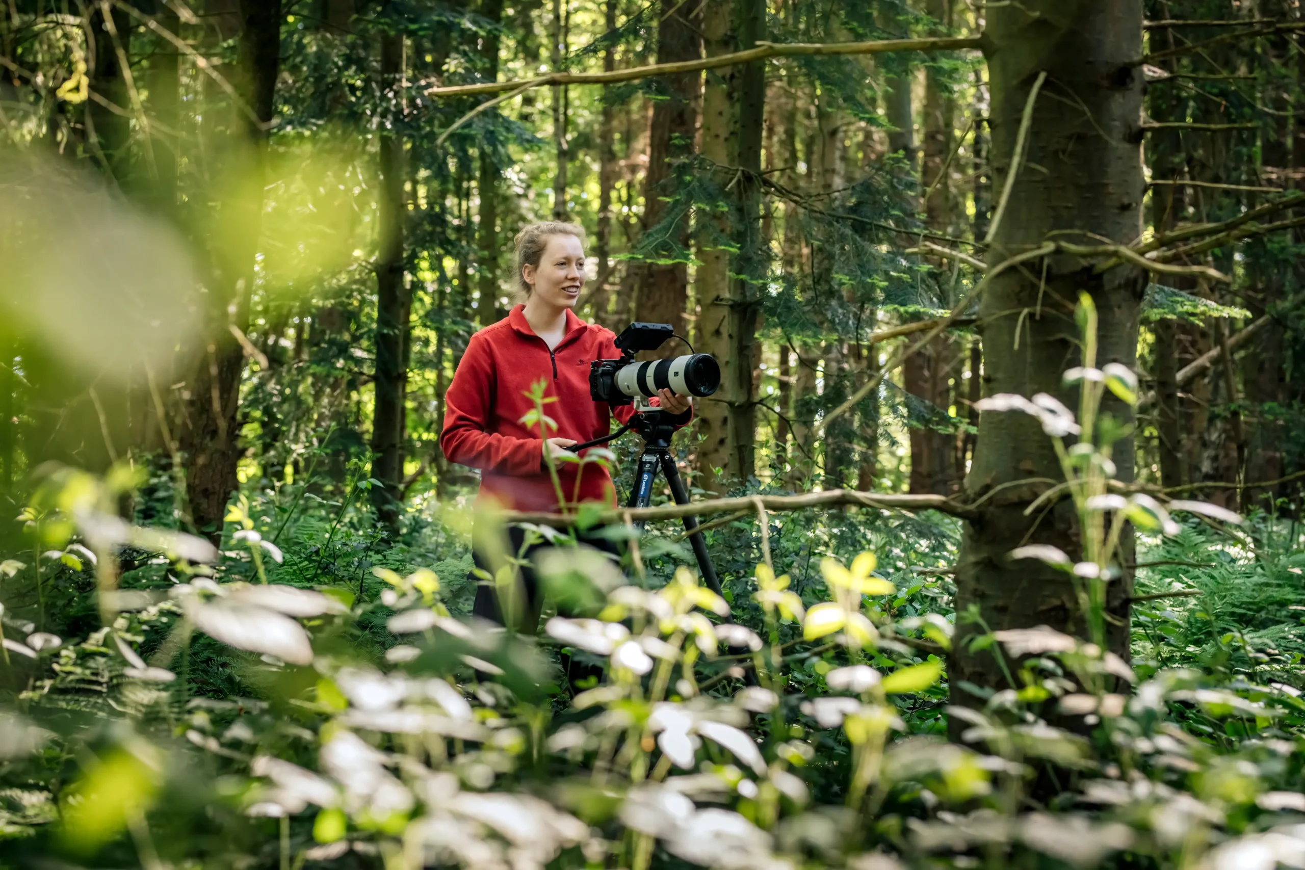 Person in a red fleece using a professional camera with a telephoto lens on a tripod in a lush green forest.