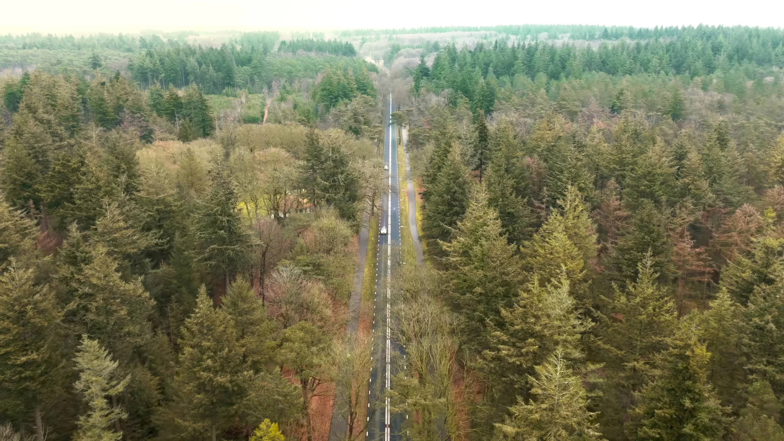 Still 3